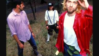 Nirvana  Dumb  Live In Miami 112793 [upl. by Yelra]