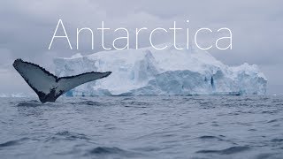 ANTARCTICA  The Frozen Continent  4k DRONE Video [upl. by Kirsti]