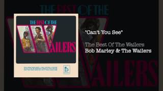 Cant You See  The Best Of The Wailers 1971 [upl. by Jones244]