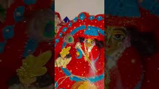 Karuna karo kasht haro 🙏trending radhakrishna shyam viralvideo vindaban shorts [upl. by Scottie]