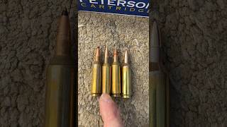 Mach 4 Bullets 22 Creedmoor shorts hypervelocity 22cm [upl. by Deys]