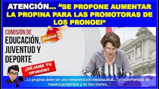 🔴😱ATENCIÓN👉 “SE PROPONE AUMENTAR LA PROPINA PARA LAS PROMOTORAS DE LOS PRONOEI” [upl. by Neehs]