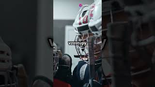 SLOVENSKÝ HOKEJ V KOCKE  hockey hokej nhl icehockey slovakhockey shorts short sports [upl. by Ailido274]