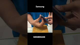 Samsung MEMBRANE youtube youtubeshorts membrane sumsung [upl. by Ranit]