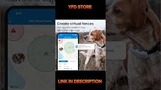 Tractive GPS Tracker amp Health Monitoring for Dogs  tractive gps tracker for dogs [upl. by Morly]