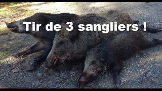 Une matinée INCROYABLE  Chasse sanglier Ardèche 2015 [upl. by Matthaus]