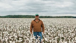 Deltapine® Brand  Strong Cotton  Growing ‘Round Here [upl. by Xad]