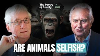 Do Primates Kill Each Other Richard Dawkins talks to ethologist Frans de Waal [upl. by Gereron]