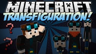 Minecraft  TRANSFIGURATION Bobbleheads Stickmen amp More  Mod Showcase 164 [upl. by Enelhtak452]