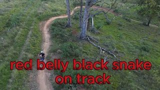 a beginners walk through the new smiles for miles at wylde MTB park with my DJI drone [upl. by Wilkie]