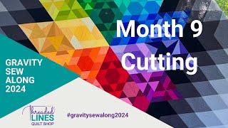 Gravity Sew Along Month 9 Cutting [upl. by Damalus]