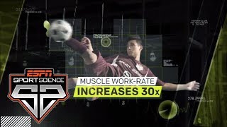 How does soccer affect the human body  Sport Science  ESPN Archives [upl. by Hardden]