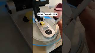 Genomic DNA Quantification using Thermo Scientific NanoDrop one  Live Demonstration  dna [upl. by Krenek]