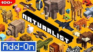 Naturalist addon para minecraft bedrock 121  minecraft marketplace [upl. by Enael]