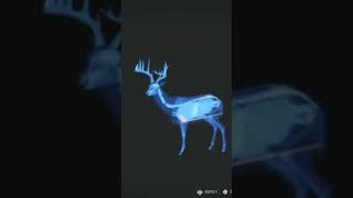 DIAMOND WHITETAIL thehuntercallofthewild cotw thehuntercotw cotwgameplay hunting gaming [upl. by Nosmoht]