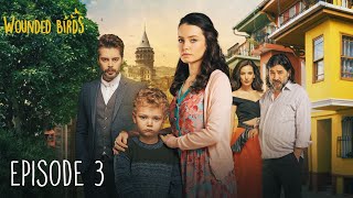 Wounded Birds  Episode 3  Multi Lang Subtitles Turkish Drama  Yaralı Kuşlar 2019 [upl. by Benito528]