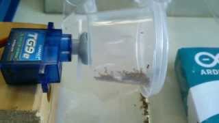 Arduino powered automatic vacation fish food feeder testing [upl. by Chill]