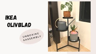 Ikea Olivblad  Unboxing and Assembly [upl. by Eidlog]