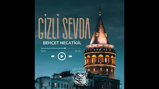 Gizli Sevda  Behçet NECATİGİL [upl. by Hesky]