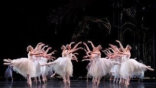 Swan Lake Corps de Ballet The Royal Ballet [upl. by Assirol]