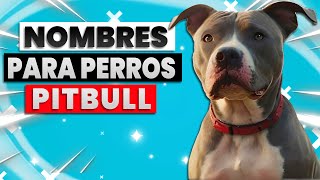 👉Top 50 Nombres Para Perros Machos Pitbull 🥇 [upl. by Aseena]