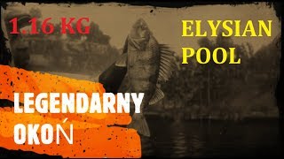 Red Dead Redemption 2  Legendarny Okoń [upl. by Grayce]