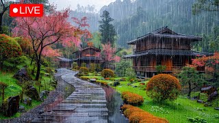 Relaxing Feeling From Rain Sound in Japanese Garden 🌧️ Rain Help Comfort Your Sleep After Tired [upl. by Carrnan]