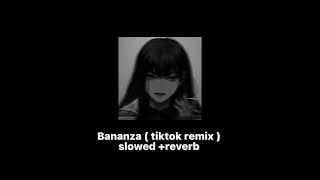 Bananza tiktok remix  slowed amp reverb  don’t be shy girl go bananza shake ya body … [upl. by Hoshi]