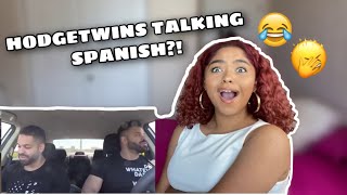 Learning SPANISH amp Talking about Mexicans WIVES  with The Hodgetwins  REACTION [upl. by Aniahs]