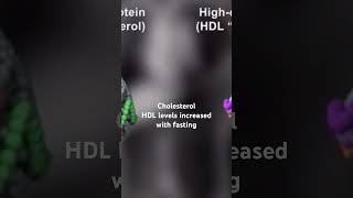 What happens to cholesterol during fasting  fasting benefits  LDL VS HDL cholesterol [upl. by Severn]