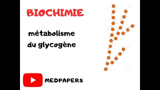 métabolisme du glycogène [upl. by December]