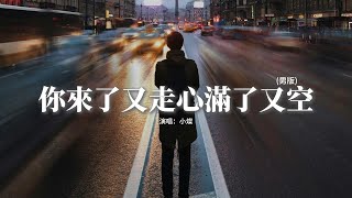 小燦  你來了又走心滿了又空男版『誰不渴望有人疼，誰不渴望有人寵，我也曾被人捧在掌心之中，可如今只剩孤獨相守。』 【動態歌詞MV】 [upl. by Gant]