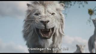 Mufasa Lejonkungen  Disney  Trailer [upl. by Remle666]