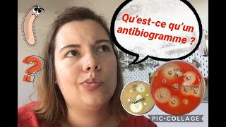 🦠 Questce quun antibiogramme  🧫 [upl. by Neri]