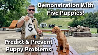 How To Predict amp Prevent Puppy Training Problems  Basic Obedience Demonstration with Five Puppies [upl. by Holms]