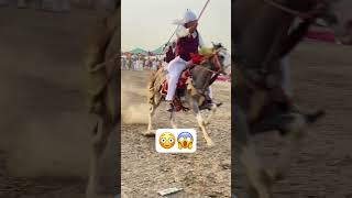 Tent pegging Epi 64 shortvideo championship pakistan viralvideo rider horse india punjabi [upl. by Irret]