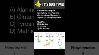 Phosphorylation of Amino acids [upl. by Idac]