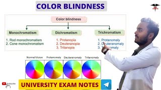 Color Blindness  Special Sense Physiology [upl. by Acnalb384]