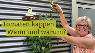 Tomaten kappen  Wann wie und warum [upl. by Nalyk]