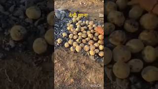 देसी खाना दाल बाटीdesi khanadalbativillage life vlogsshortsYouTube shortsfood shorts [upl. by Gladys]