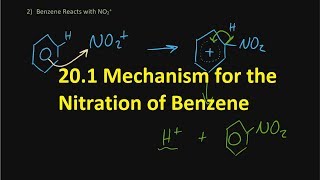 R31Mechanism for the Nitration of Benzene 2025  only behavior of HNO3 HL IB Chemistry [upl. by Solly602]