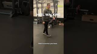 HEEL WALKING strengthen calf muscles improve ankle stability amp balance anklestrength heelwalking [upl. by Eimerej35]