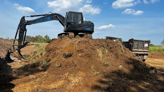 Digging pond and backfilling old pond [upl. by Annerol]