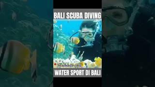 BALI DIVING 🤿 WATER SPORT DI BALI  WATER SPORT TANJUNG BENOA NUSA DUA BEACH BALI [upl. by Eizzik306]