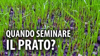 Quando Seminare il Prato [upl. by Solracsiul563]