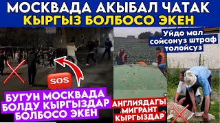 SOS🤬🆘БҮГҮН БОЛДУ Оо КУДАЙ КЫРГЫЗдар БОЛБОСО ЭКЕН😰ҮЙдө МАЛ СОЙСОҢУЗ ШТРАФ ТӨЛӨЙСҮЗ🤦‍♂️АНГЛИЯДА… [upl. by Arta]