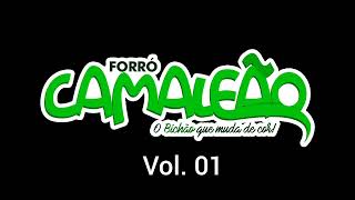 Forró Camaleão vol01 [upl. by Richardson]