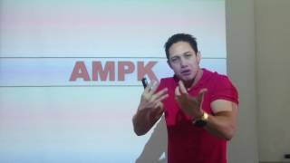 AMPK e PGC1a [upl. by Manno]