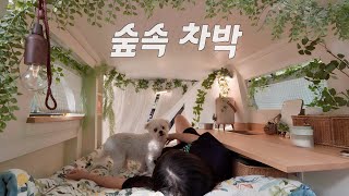 🚌세상에 하나뿐인 캠핑카에서 강아지와 단둘이 가을 차박 즐기기  묵은지 삼겹살  솔로 캠핑  스타렉스 자작 캠핑카  전라남도 보성 하느제 캠핑장 [upl. by Lerret]