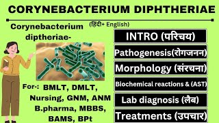 CORYNEBACTERIUM Diptheriae🦠 Full Lecture  Microbiology 📔 [upl. by Yumuk]